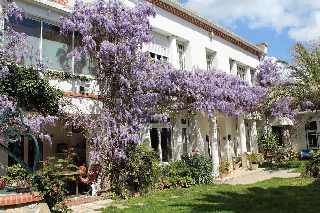 ペルピニャン Domaine Saint Nicolas Bed & Breakfast エクステリア 写真
